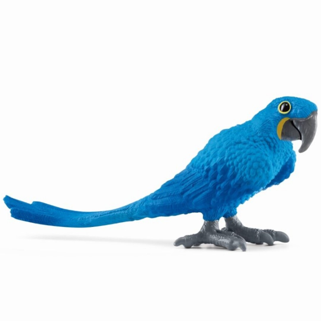 Blue parrot kinderkleding outlet