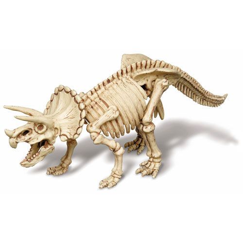 4m pakket dinosaurus graven - triceratops