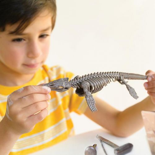 4m excavation de dinosaures de - mosasaurus