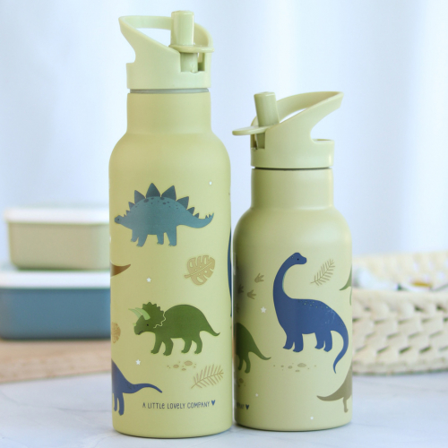 a little lovely company rvs drinkfles dinosaurus - 500ml