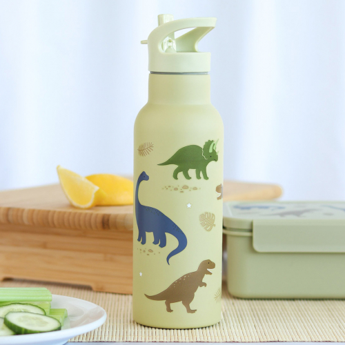 a little lovely company rvs drinkfles dinosaurus - 500ml