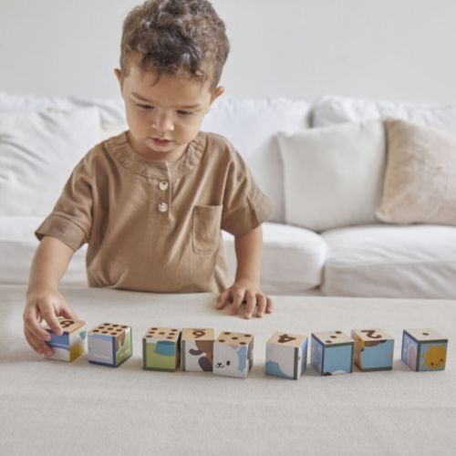 plan toys puzzelblokken dieren en cijfers