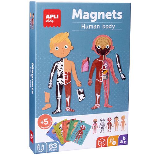 apli kids magneetspel menselijk lichaam