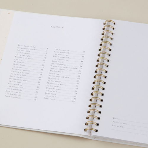 blush and gold invulboek my baby book - misty