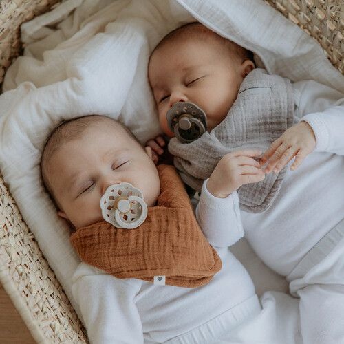 bibs fopspenen boheme - vanilla en dark oak - 6-18 mnd - 2st