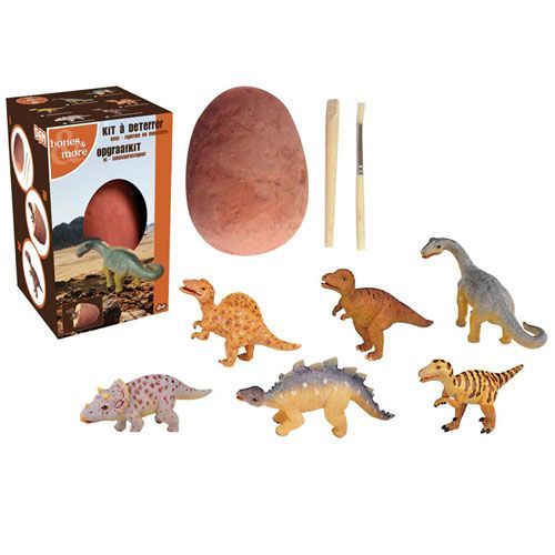 bones & more opgraafei dinosaurus - assorti