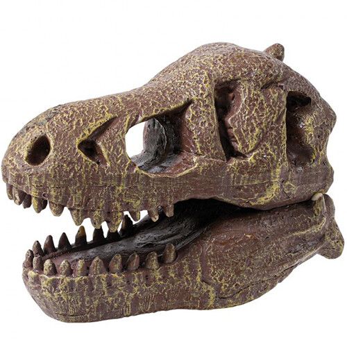 buki mega opgraafkit dinoschedel - t-rex