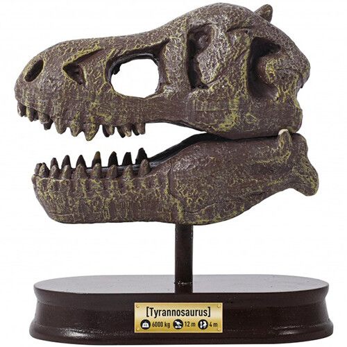 buki mega opgraafkit dinoschedel - t-rex