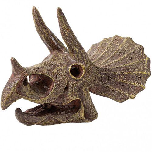 buki mega opgraafkit dinoschedel - triceratops
