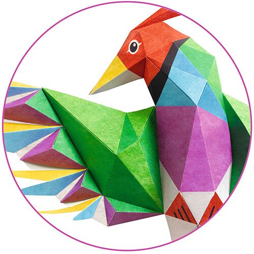 djeco vouwset 3D poster - paradijsvogel