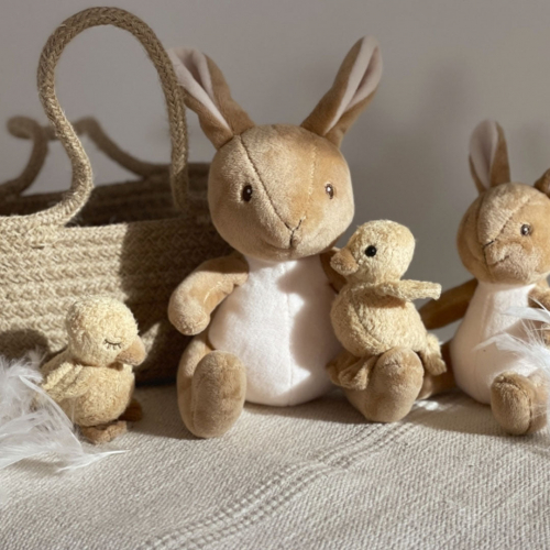 egmont toys knuffelkuikentje quack - assorti