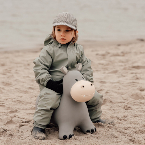 find that hippo skippydier nijlpaard