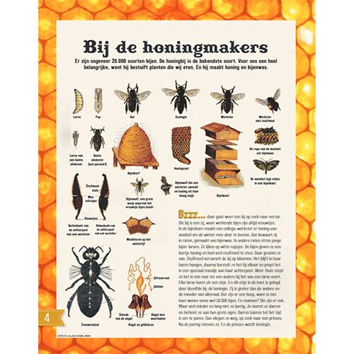 fontaine uitgevers het dubbeldikke doe-boek - dieren planten insecten vogels