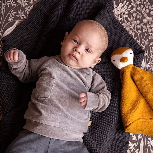 fresk knuffeldoekje pinguïn