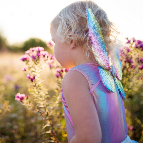 great pretenders verkleedrok met vleugels en toverstaf - 4-6 jaar