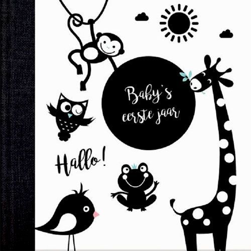 image books invulboek hello baby - baby's eerste jaar 