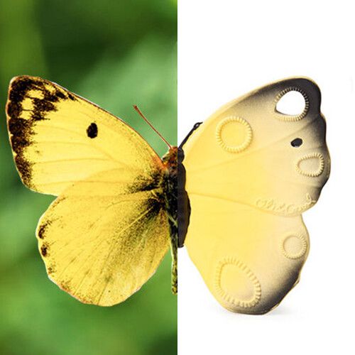 oli & carol bijt- & badspeelgoed vlinder - geel