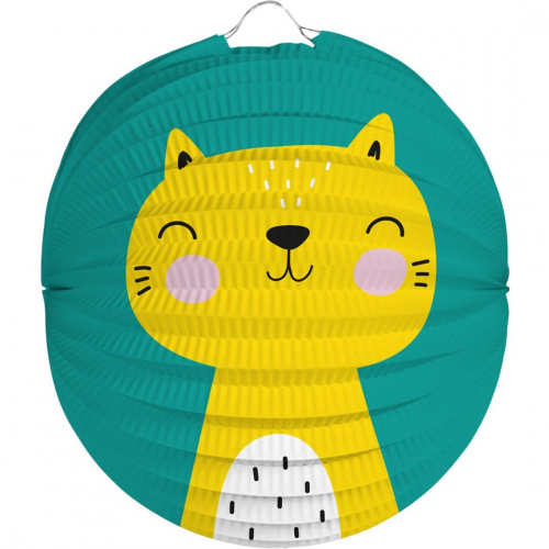 lampion kat