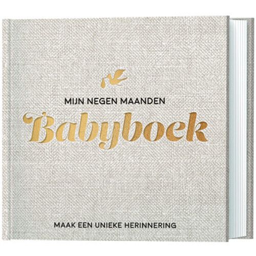 lantaarn publishers invulboek mijn negen maanden babyboek
