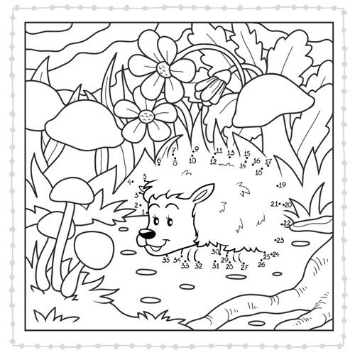 lantaarn publishers tekenboek van punt tot punt kids - in het bos