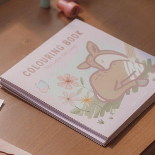 little dutch kleurboek binnen de lijntjes - fairy garden