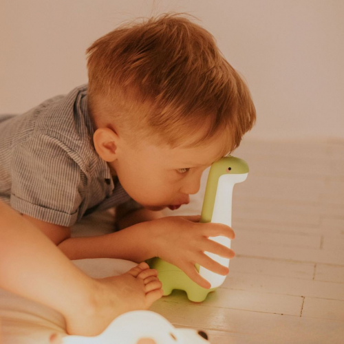 mary's nachtlampje dinosaurus