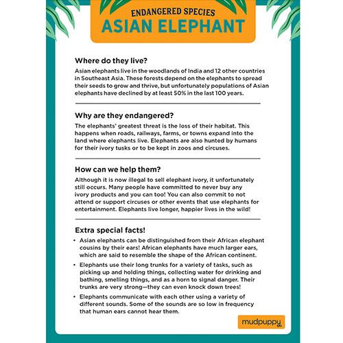 mudpuppy puzzel bedreigde diersoorten - aziatische olifant - 300st