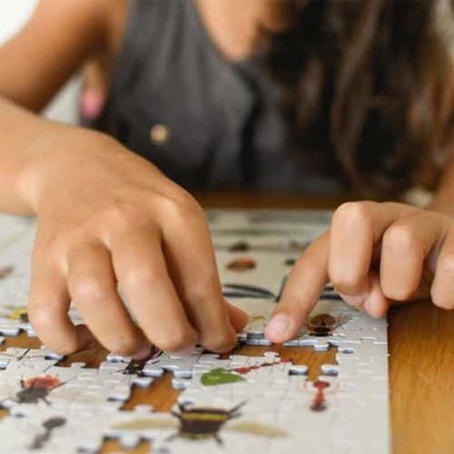 poppik puzzel met poster insecten - 500st