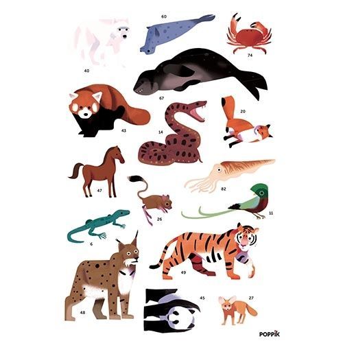 poppik sticker poster dierenwereld 