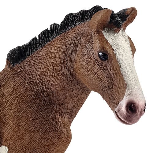 schleich farm world clydesdale veulen - 8 cm