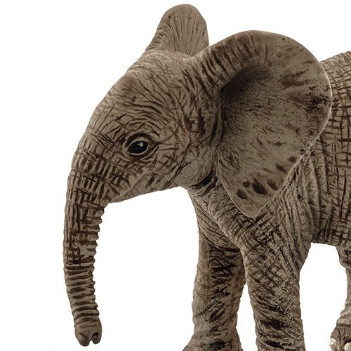 schleich wild life afrikaans olifantenjong - 7 cm