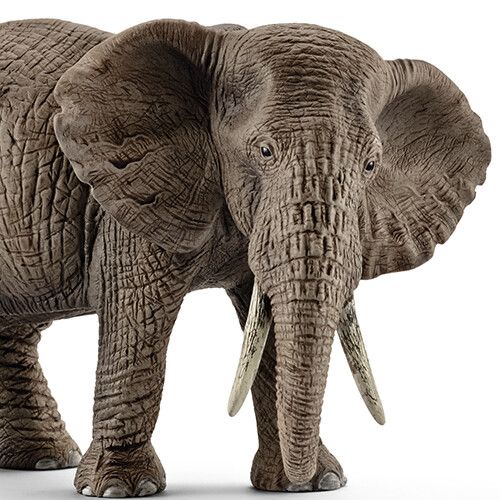 schleich wild life afrikaanse olifantenkoe - 14,5 cm