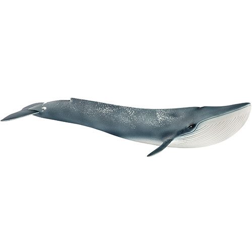 schleich wild life baleine bleue - 27,5 cm