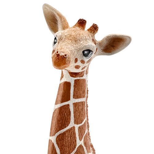 schleich wild life giraffenkalf - 12 cm