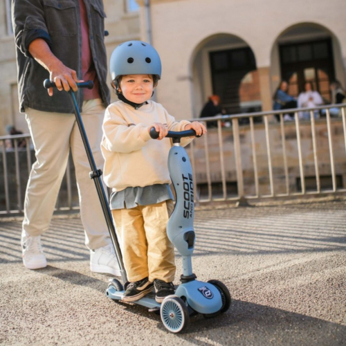 scoot and ride 2-in-1 loopfiets en step - push and go - steel