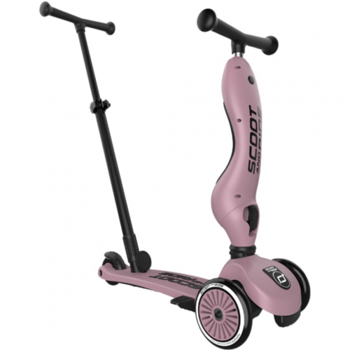scoot and ride 2-in-1 loopfiets en step - push and go - wildberry
