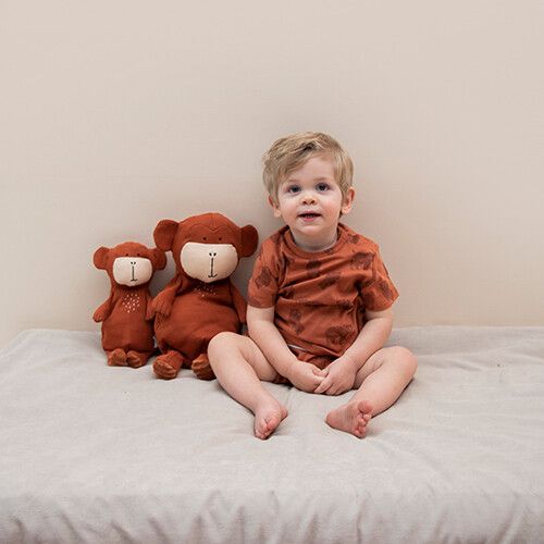 trixie knuffelaap mr. monkey - 38 cm