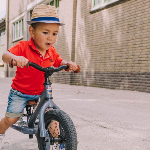 trybike draisienne en acier gris et marron