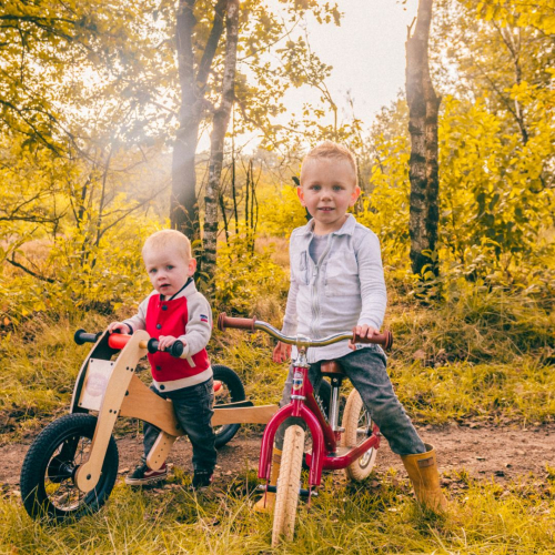 trybike draisienne en acier vintage rouge / marron