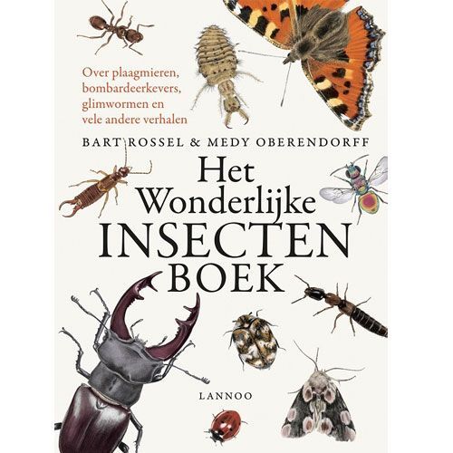 uitgeverij lannoo het wonderlijke insectenboek