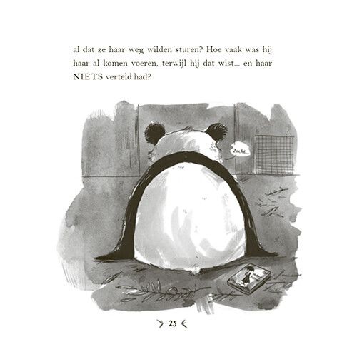 uitgeverij condor een panda voor mijn verjaardag