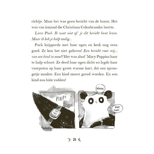 uitgeverij condor een panda voor mijn verjaardag