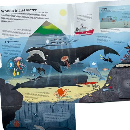 uitgeverij davidsfonds pop-upboek het grote boek over water