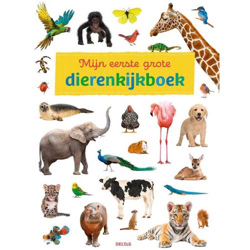 uitgeverij deltas mijn eerste grote dierenkijkboek