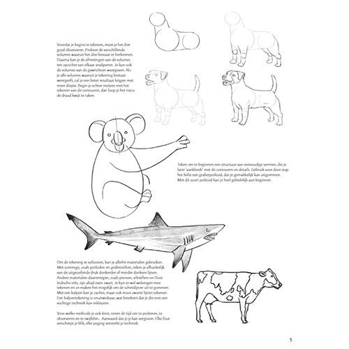 uitgeverij deltas stap voor stap dieren leren tekenen
