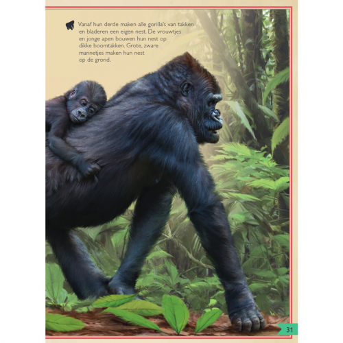 uitgeverij gottmer het allermooiste boek over apen