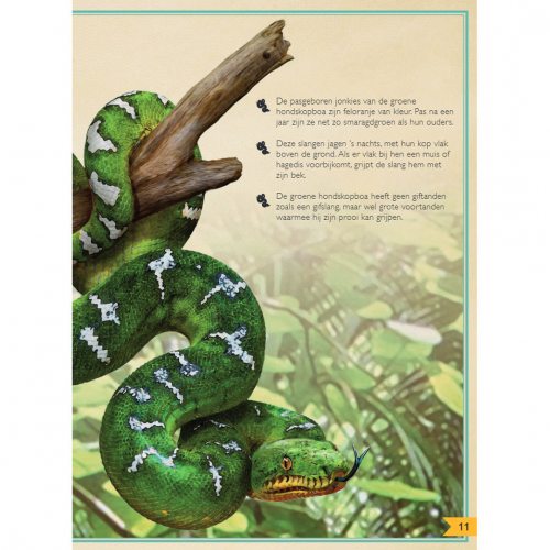 uitgeverij gottmer het allermooiste boek over reptielen en amfibieën
