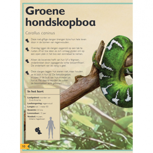 uitgeverij gottmer het allermooiste boek over reptielen en amfibieën