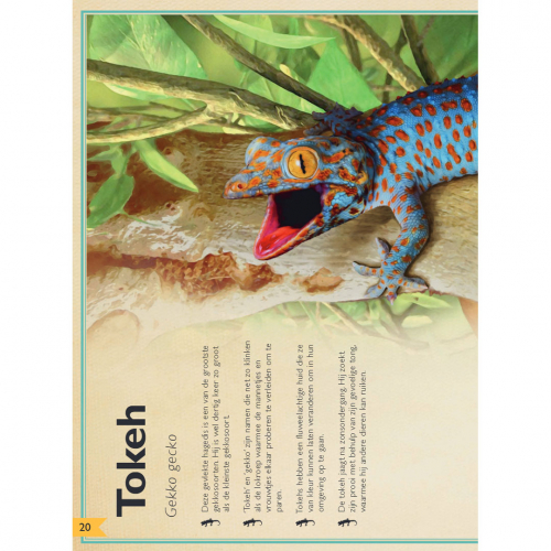 uitgeverij gottmer het allermooiste boek over reptielen en amfibieën