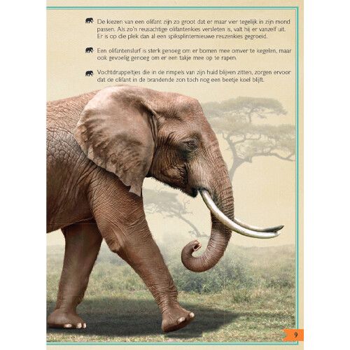 uitgeverij gottmer het allermooiste boek over wilde dieren